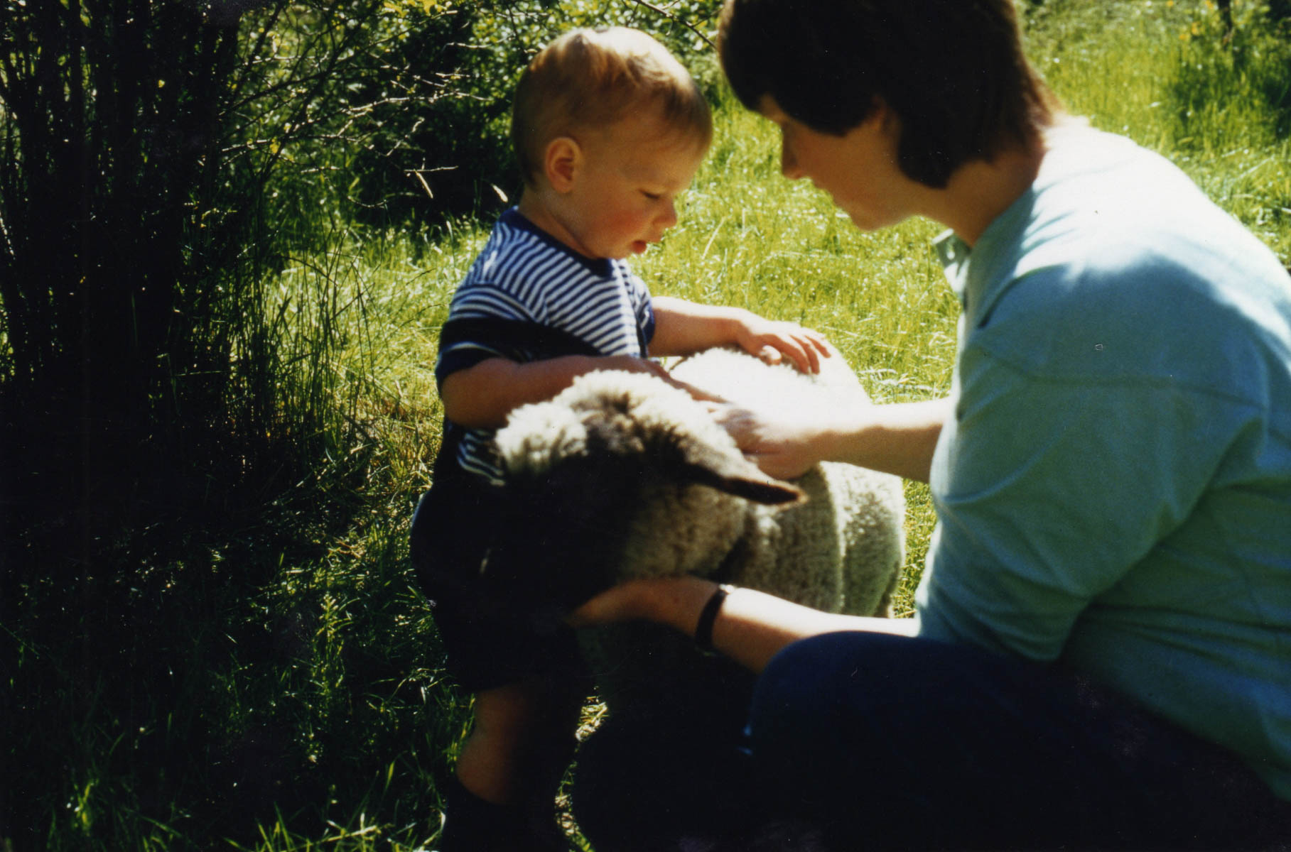 Über mich easy peasy vegan 1988 Leben auf dem Land